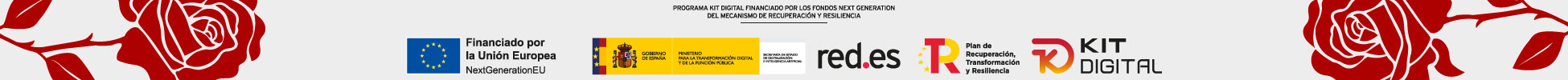 Tienda online financiada por el Kit Digital